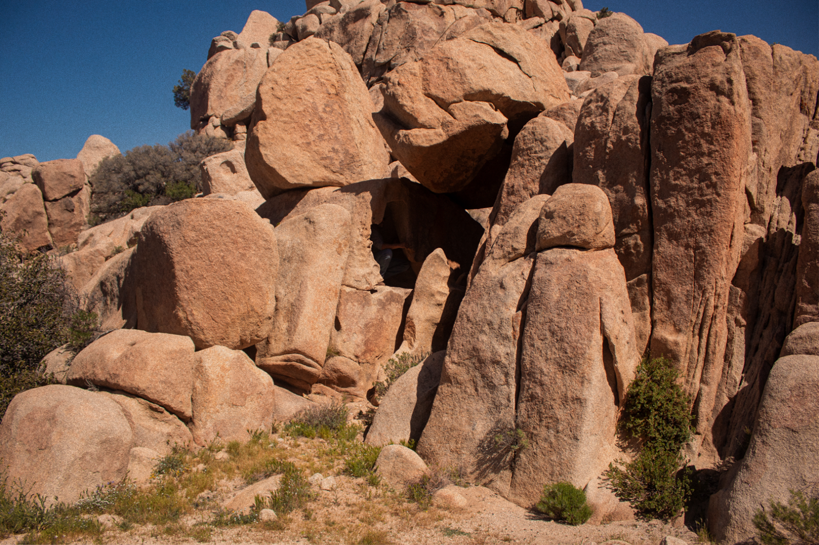 unnamed image